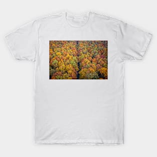 Aerial view of road through colorful autumn forest T-Shirt